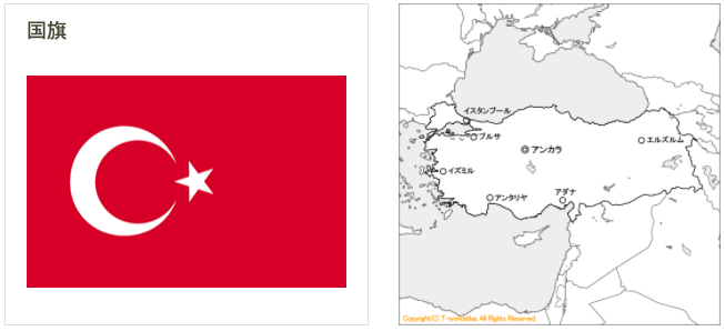 トルコ語版ウィキペディア